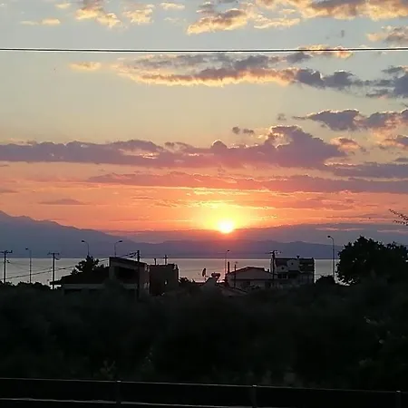 Hotel Solar *